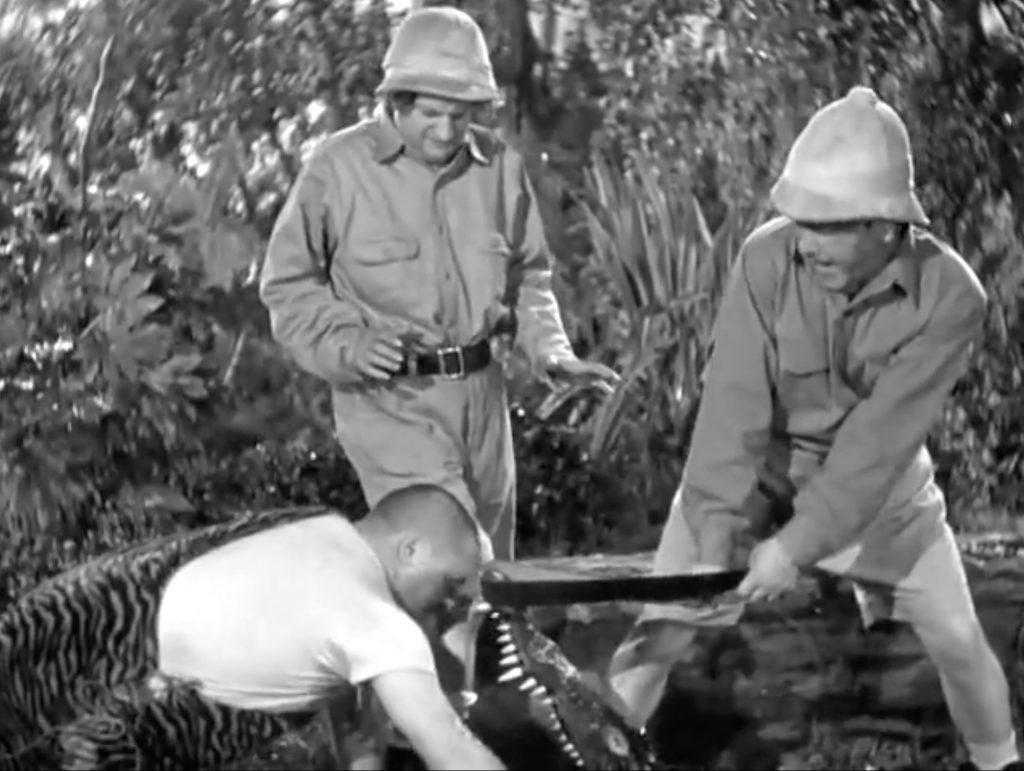 Curly Howard trying to retrieve the tree from the belly of the alligator, while Moe Howard holds the upper jaw with his belt, and Larry Fine steps on its lower jaw …
