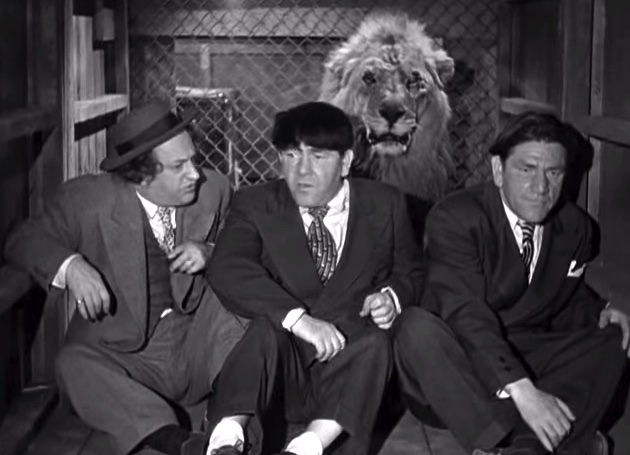 Hold that Lion - Larry, Moe, Shemp and the lion
