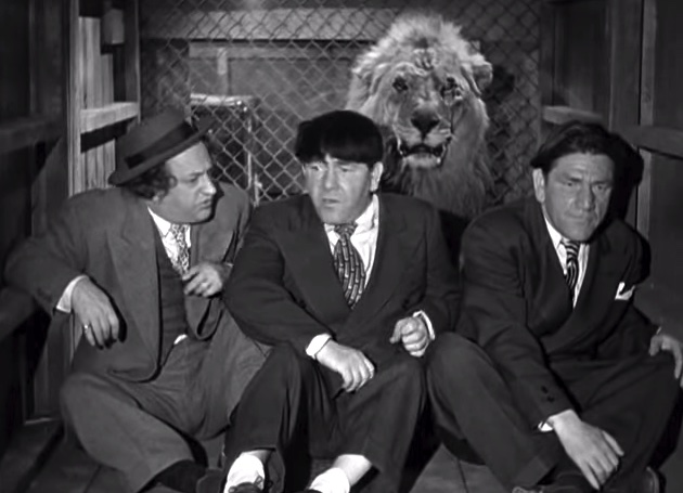 curly howard hold that lion