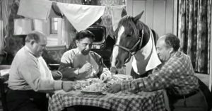 Horsing Around