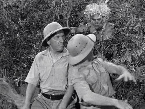 Shemp and Moe have a visitor on the island in "Hula La-La"