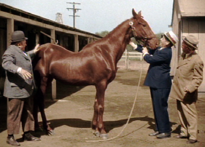 Three Stooges short film, Playing the Ponies - Curly, Thunderbolt, Moe, Larry
