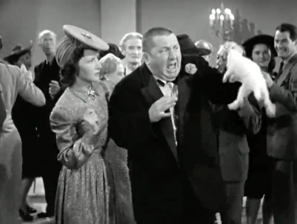 Next, a rabbit finds its way out of Curly Howard's magician's jacket