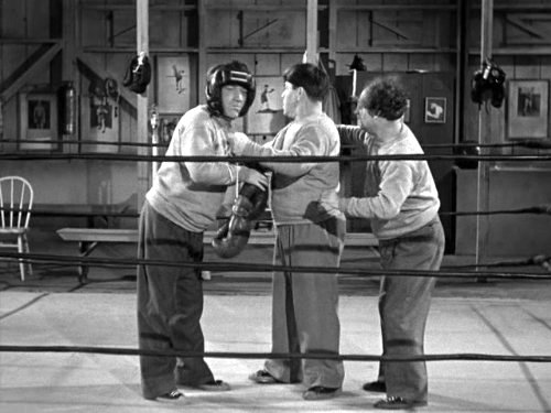 Shemp, Moe and Larry in the ring in "Fling in the Ring"