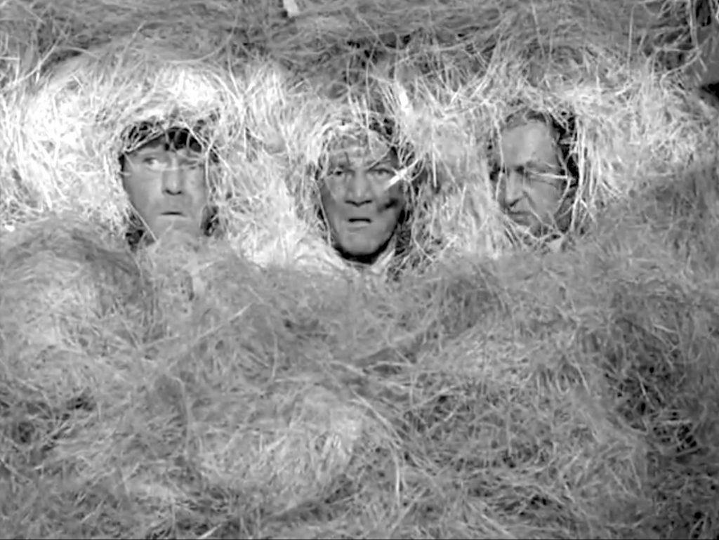 The Three Stooges hiding in a crate of hay -- "That hay sure is lumpy" (Loose Loot)