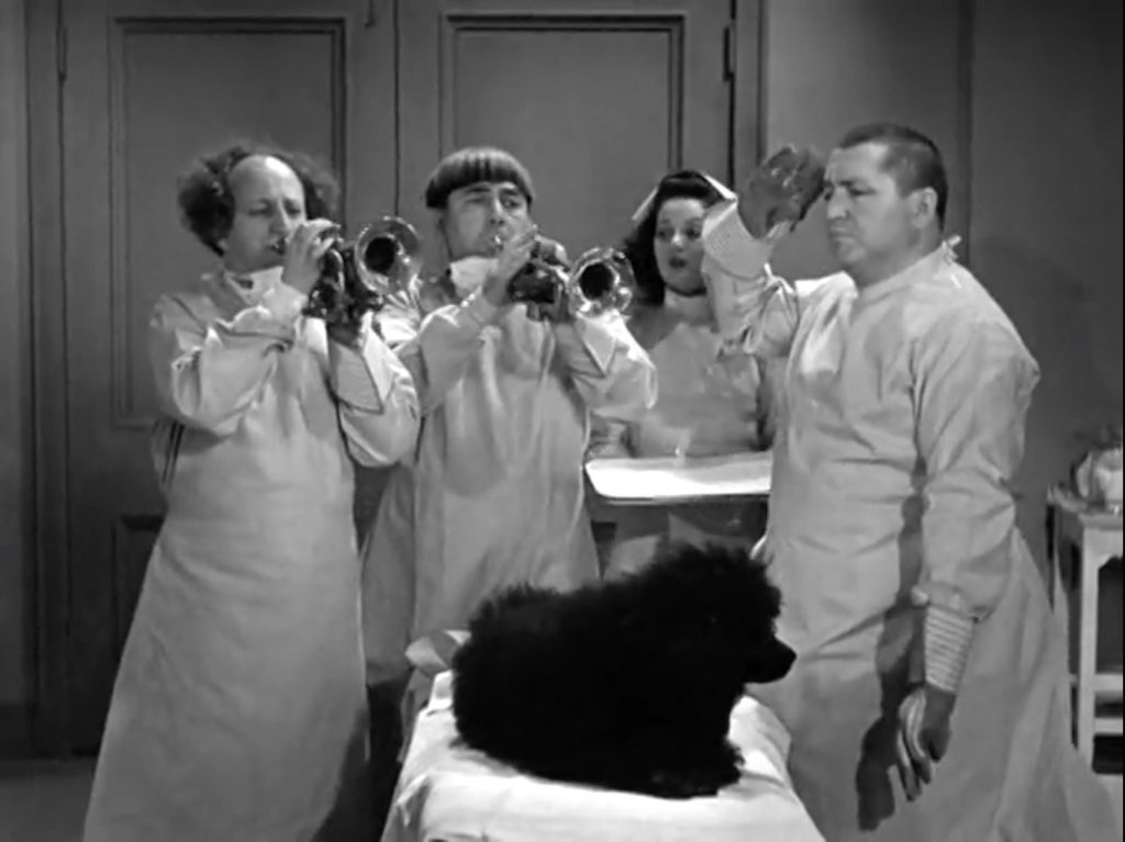 In "Calling All Curs", Doctors Moe, Larry, & Curly call for the instruments - and the nurse complies!